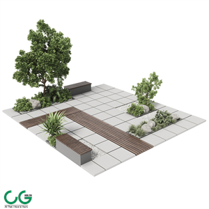 Urban Environment